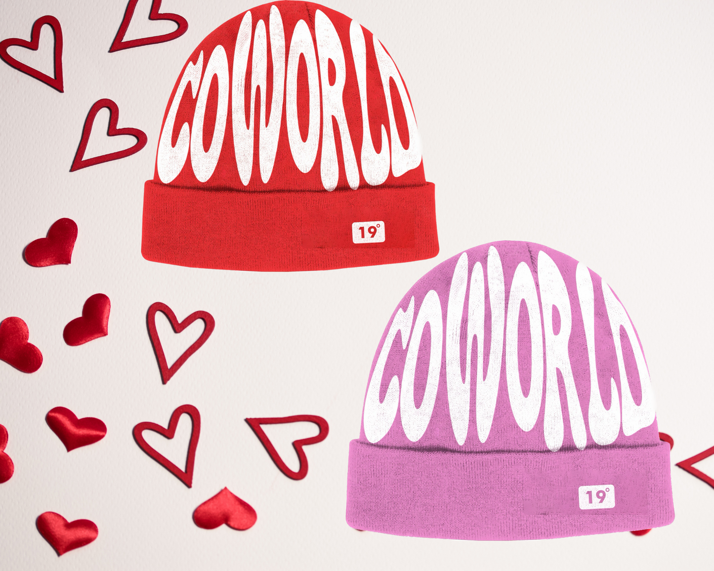 COWorld Beanie