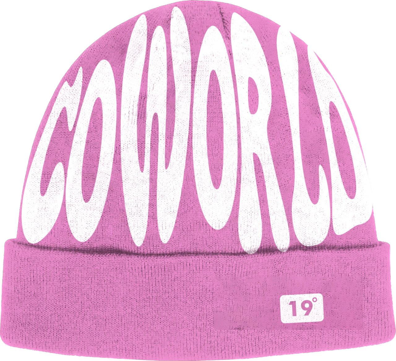 COWorld Beanie